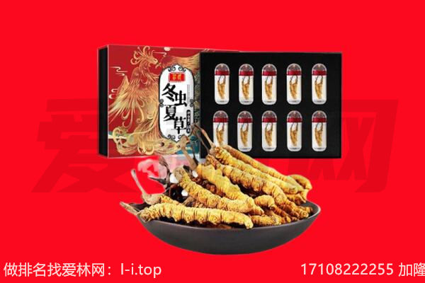兴安盟扎赉特回收虫草.jpg